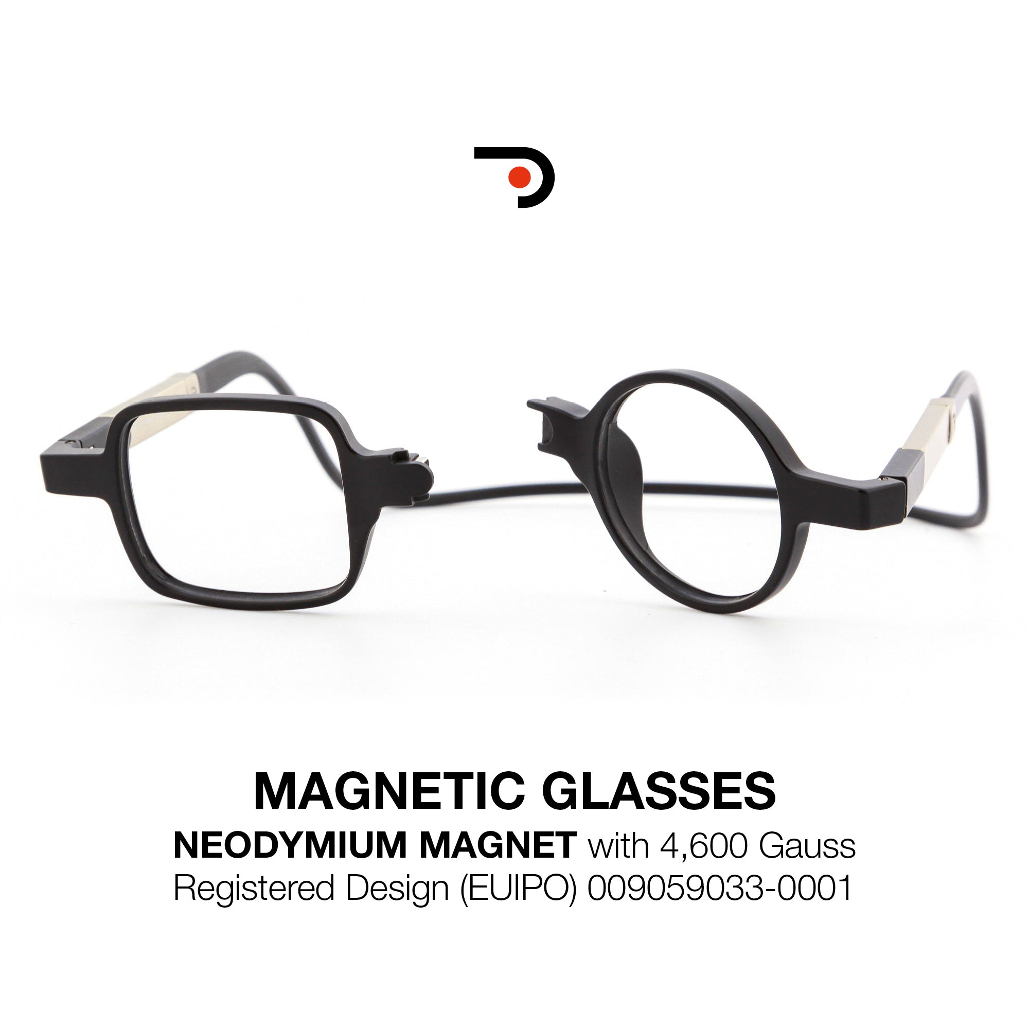 Magnetic Glasses