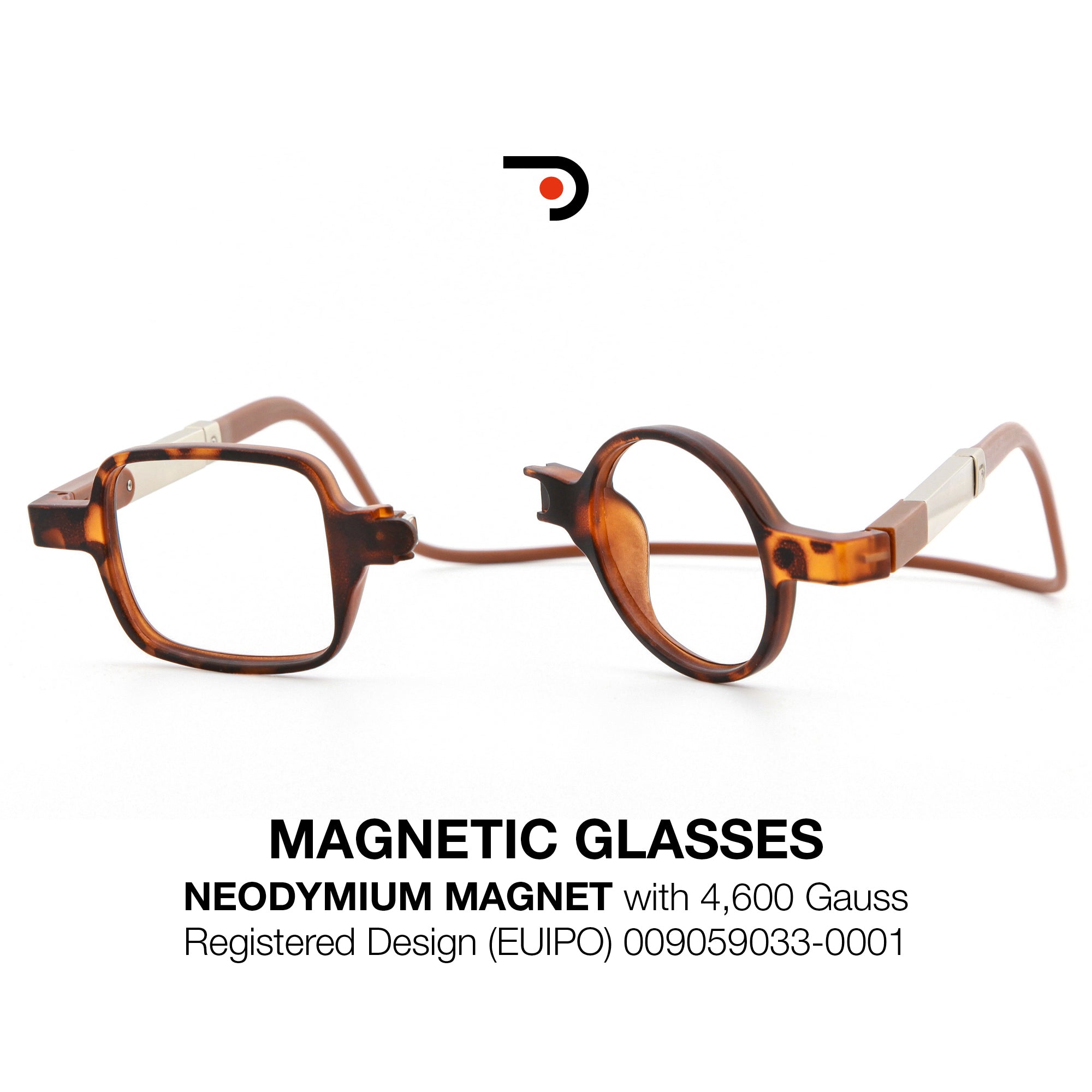 Magnetic Glasses