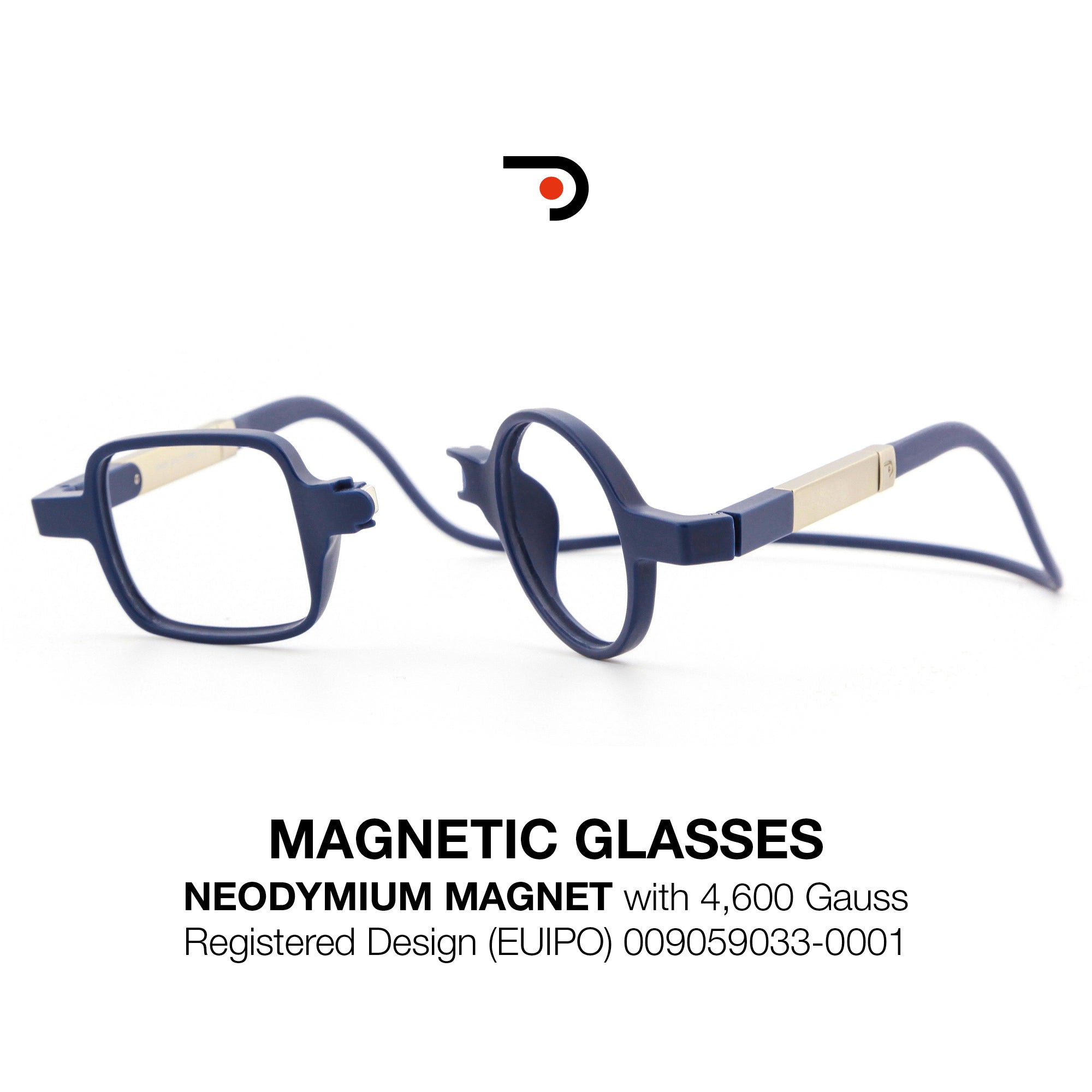Magnetic Glasses