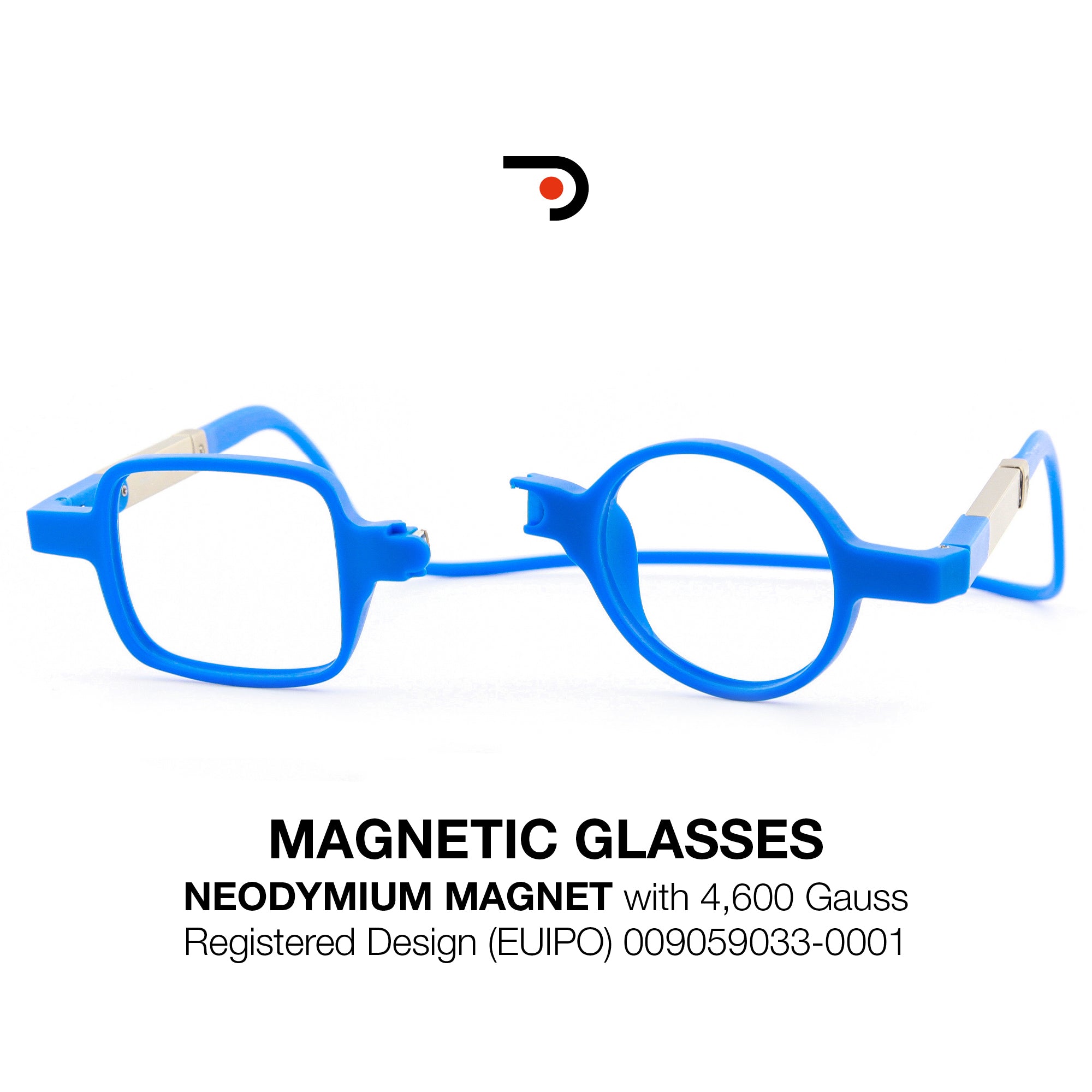 Magnetic Glasses