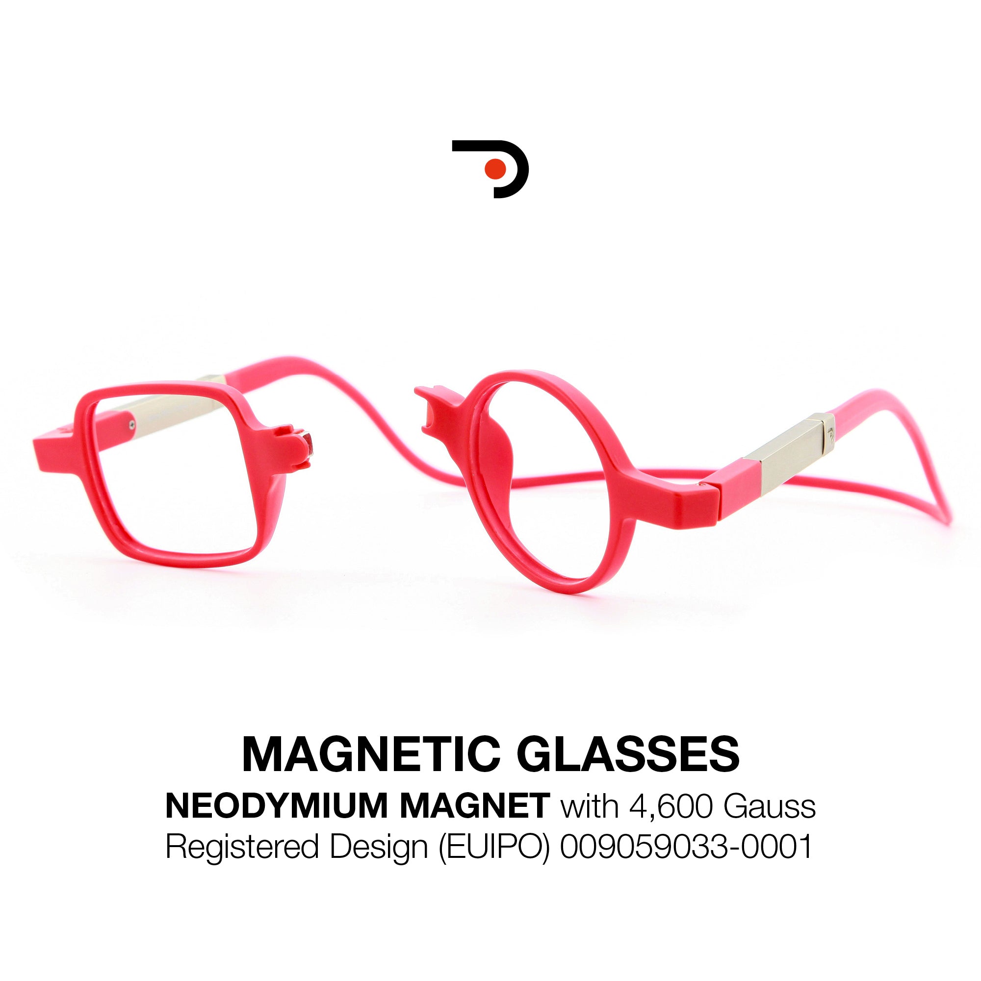 Magnetic Glasses