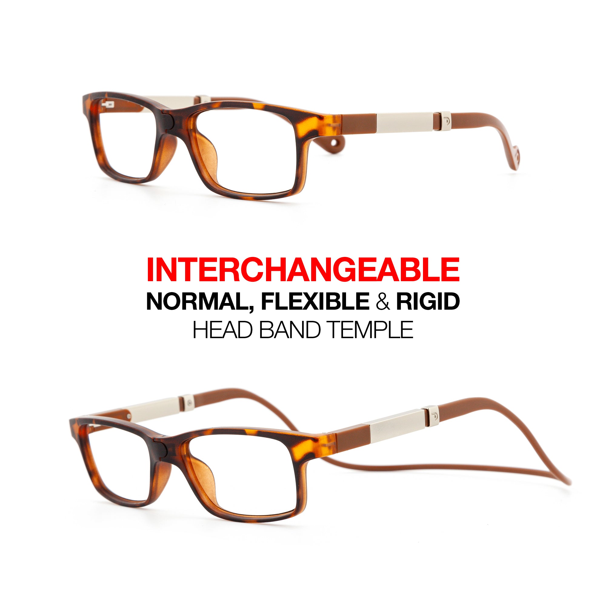 Magnetic Glasses Information