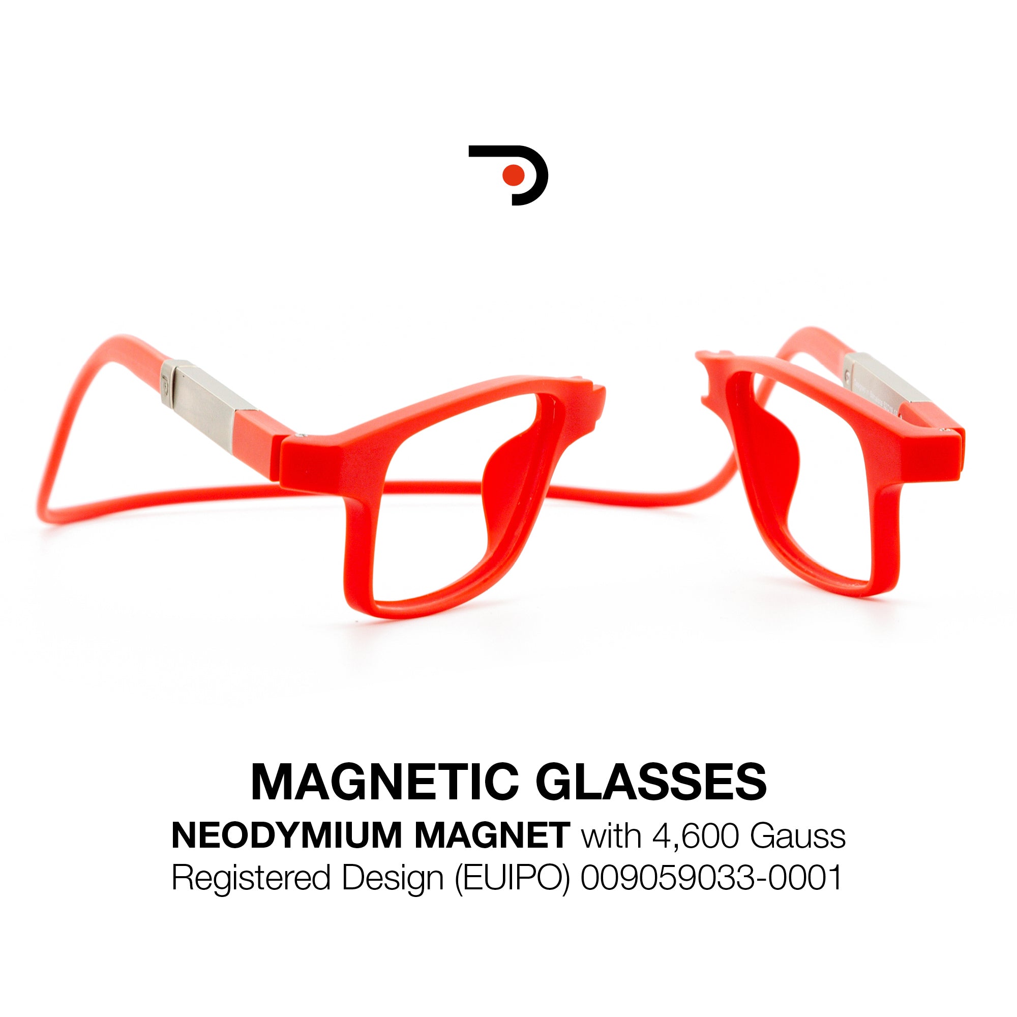 Magnetic Glasses
