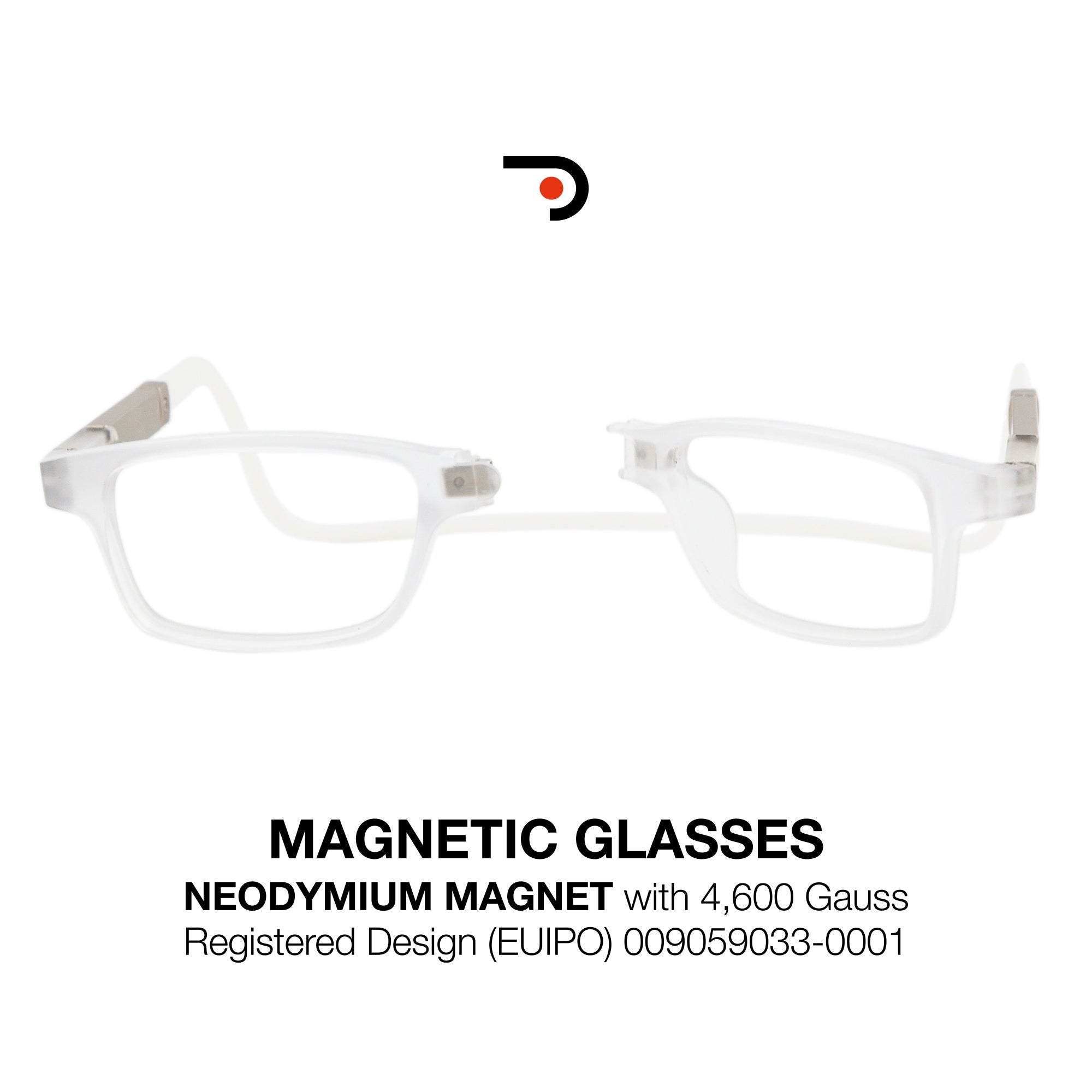 Magnetic Glasses