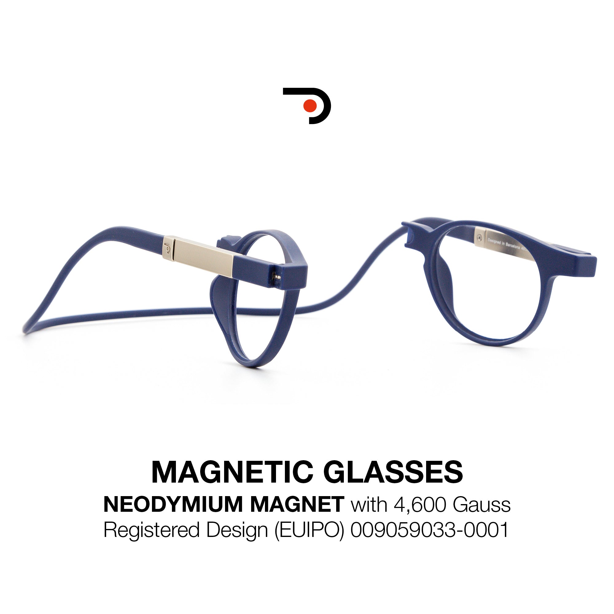 Magnetic glasses