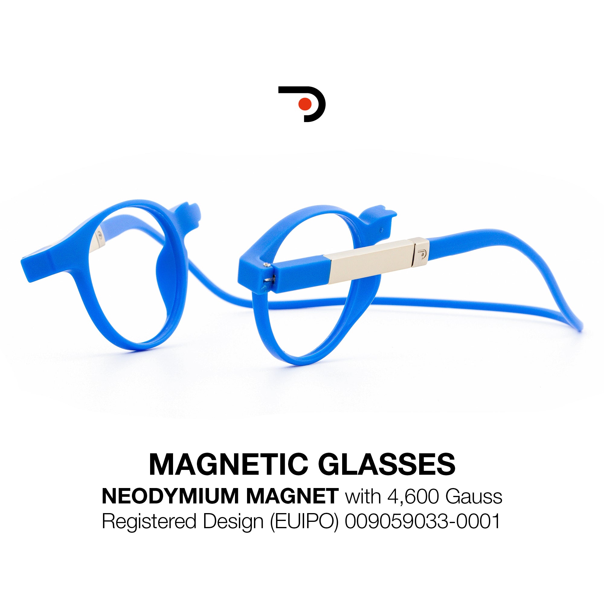 Magnetic Glasses