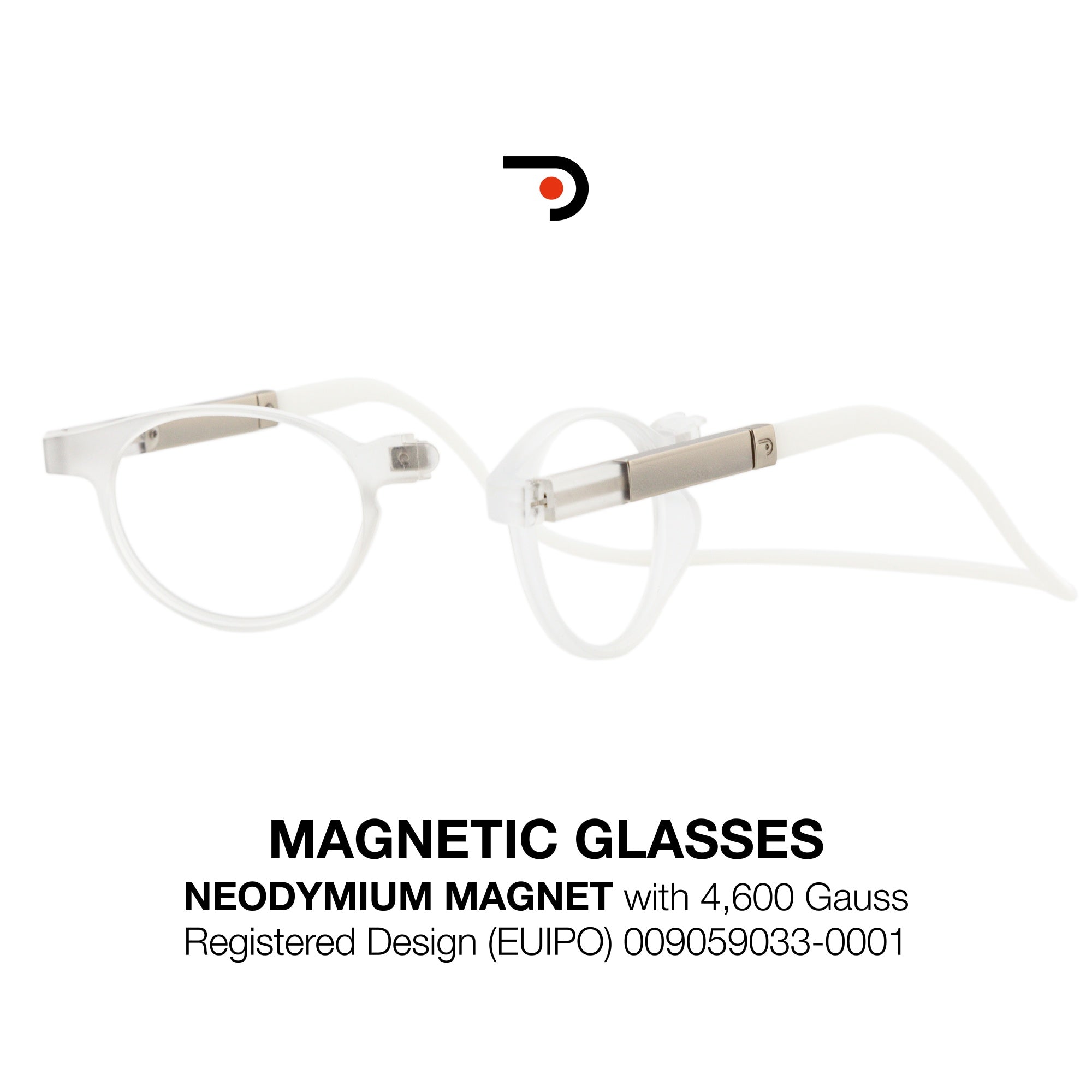 Magnetic Glasses
