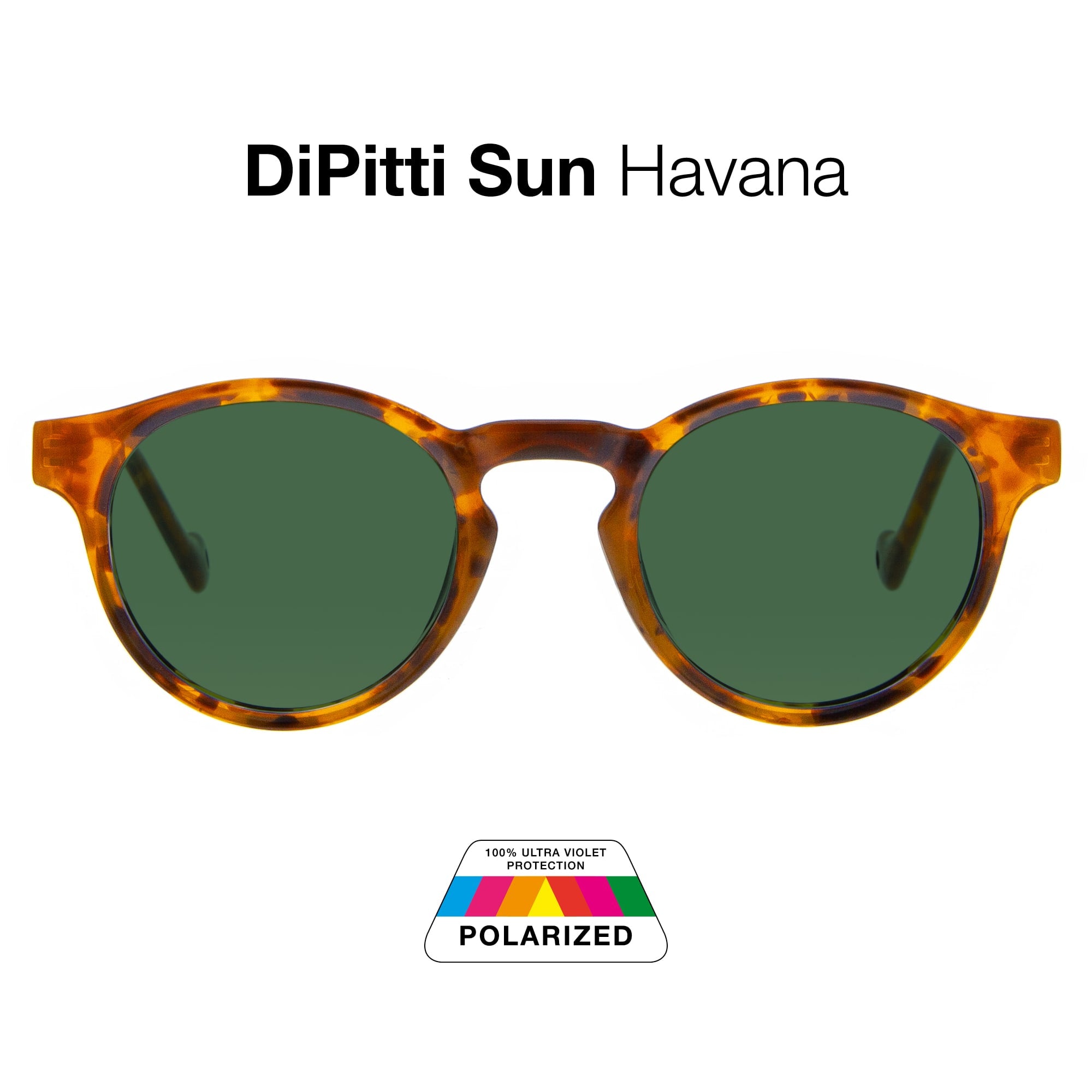 DiPitti Sun Havana Glasses