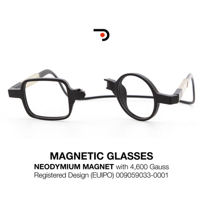 Magnetic Glasses