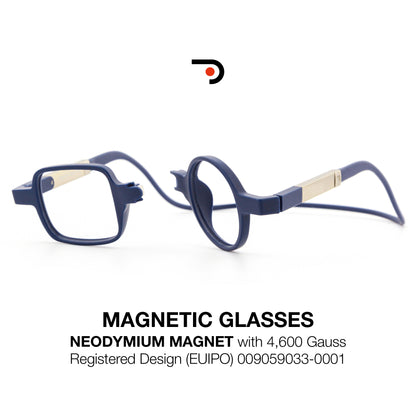 Magnetic Glasses