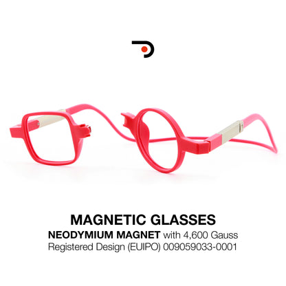 Magnetic Glasses