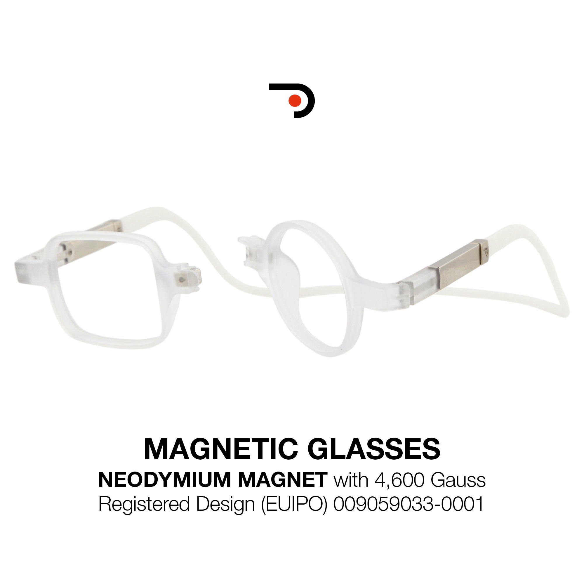 Magnetic Glasses