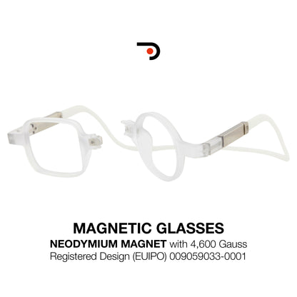Magnetic Glasses