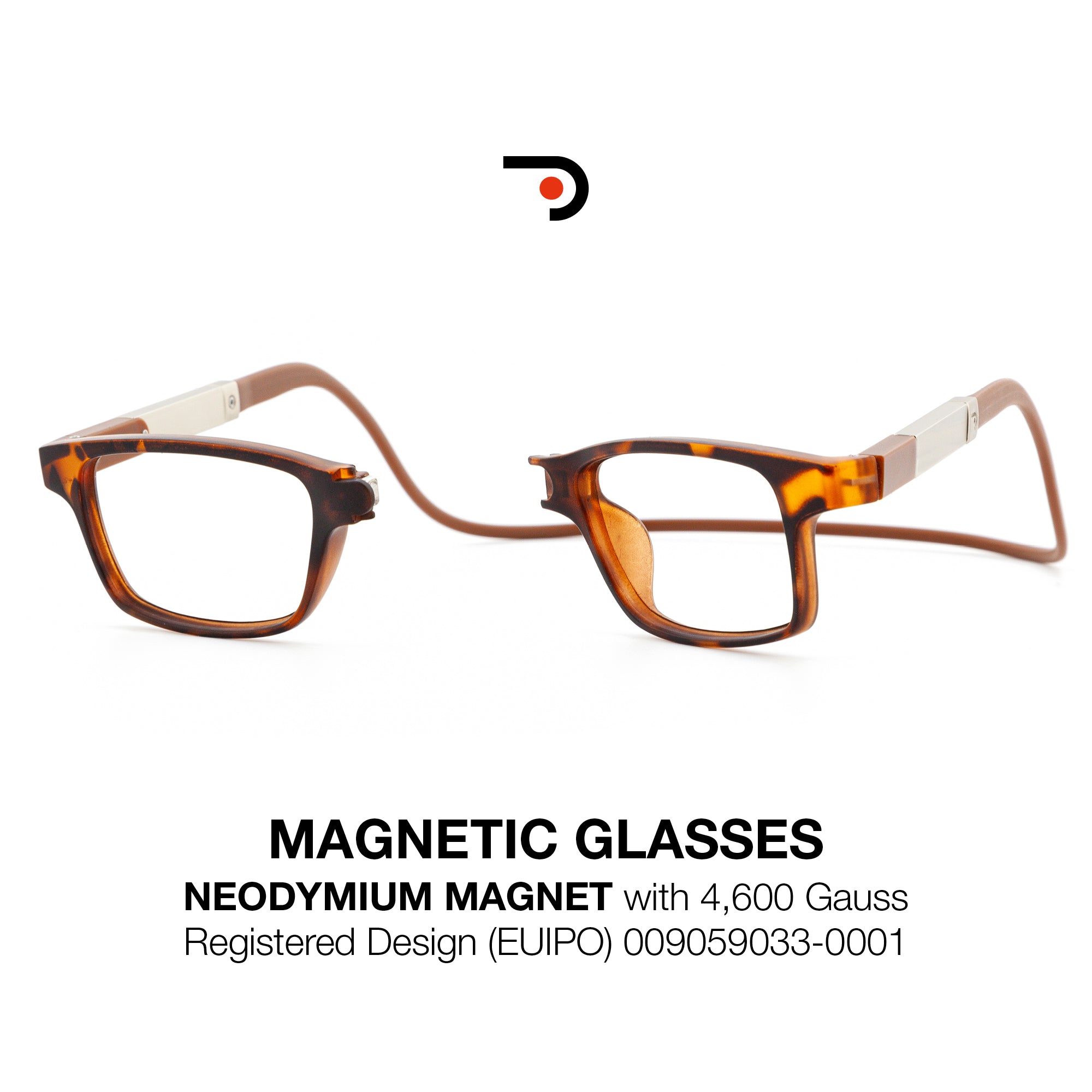 Magnetic Glasses