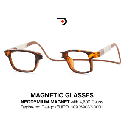 Magnetic Glasses