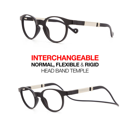 Magnetic Glasses Information