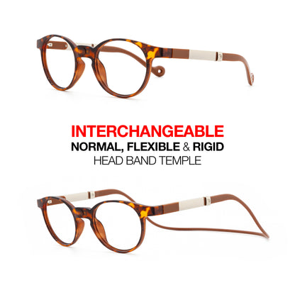Magnetic Glasses Information