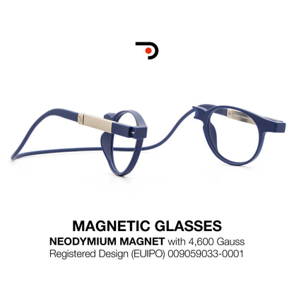 Magnetic glasses