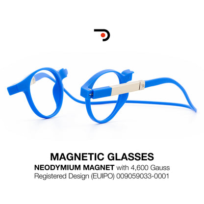 Magnetic Glasses